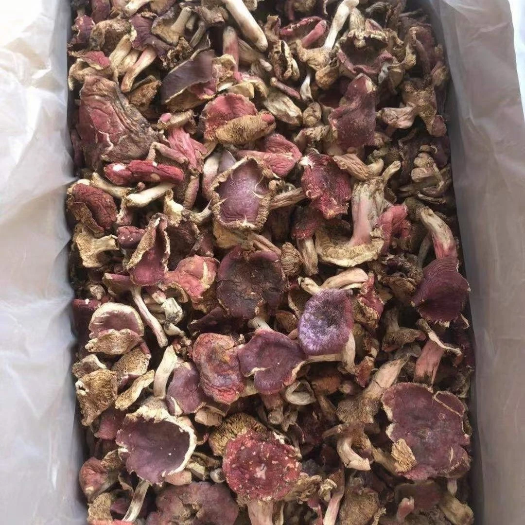 [红菇]  武陵山脉野生红菇