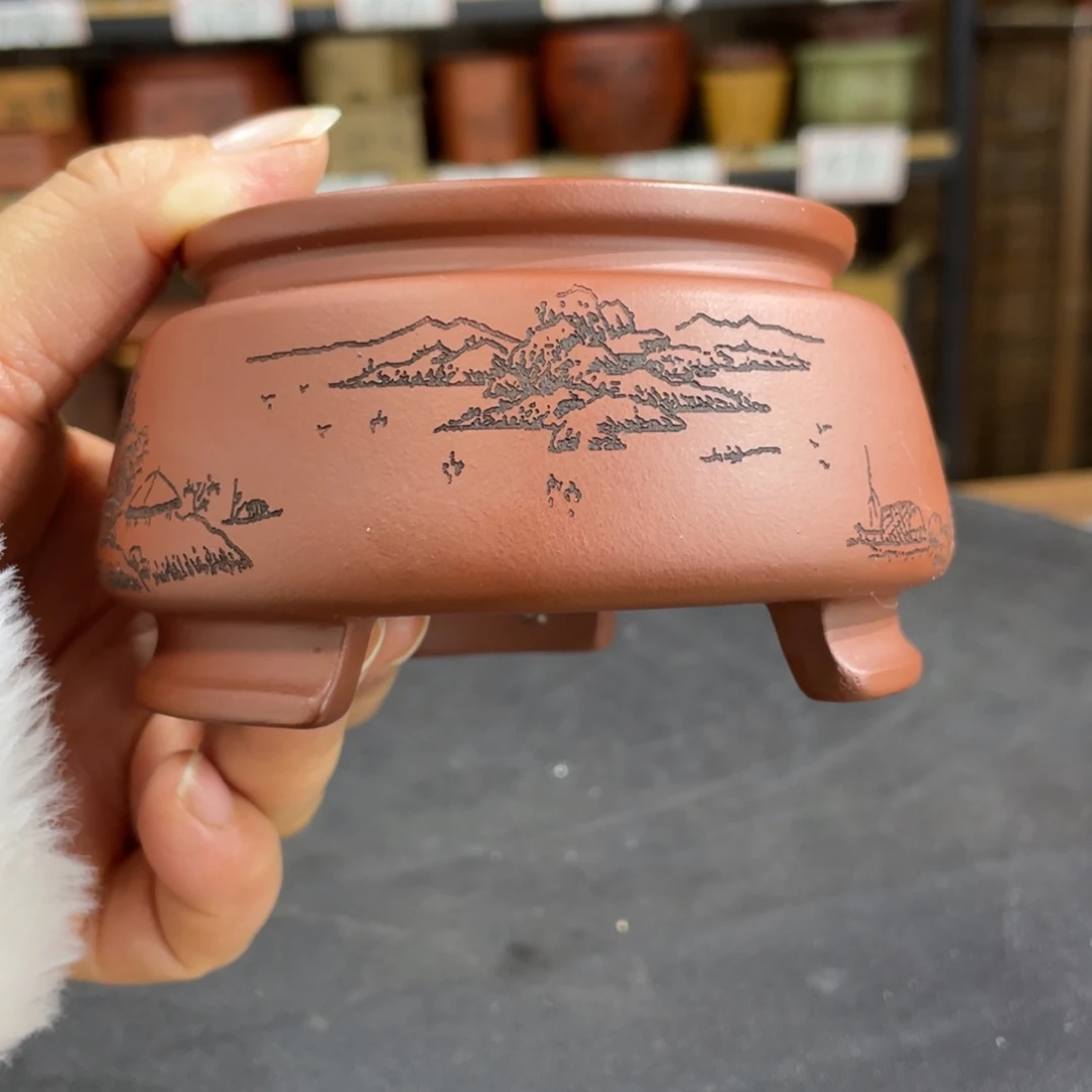 紫砂花盆紫砂花盆在这里