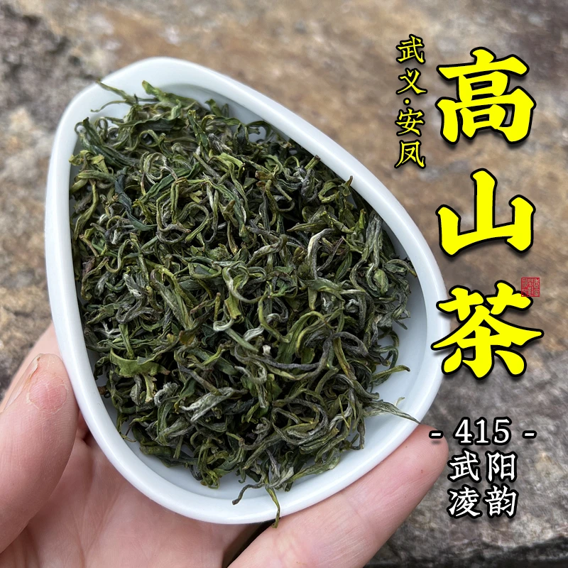 415武阳凌韵群体种高山绿茶2025新茶花香茶香鲜润甘醇茶叶回甘久