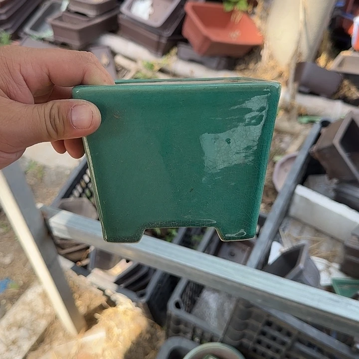 是的呀哈哈是这样哈哈好