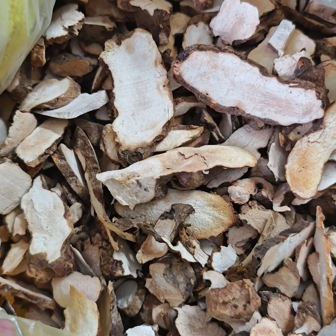 纯野生土茯苓500克（活动）白肉