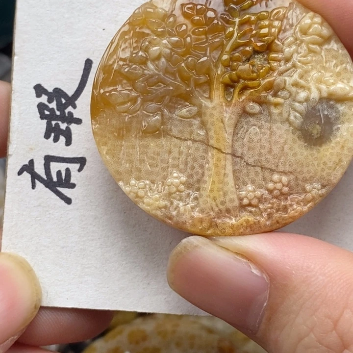 硅化珊瑚（珊瑚玉）未镶嵌颈饰