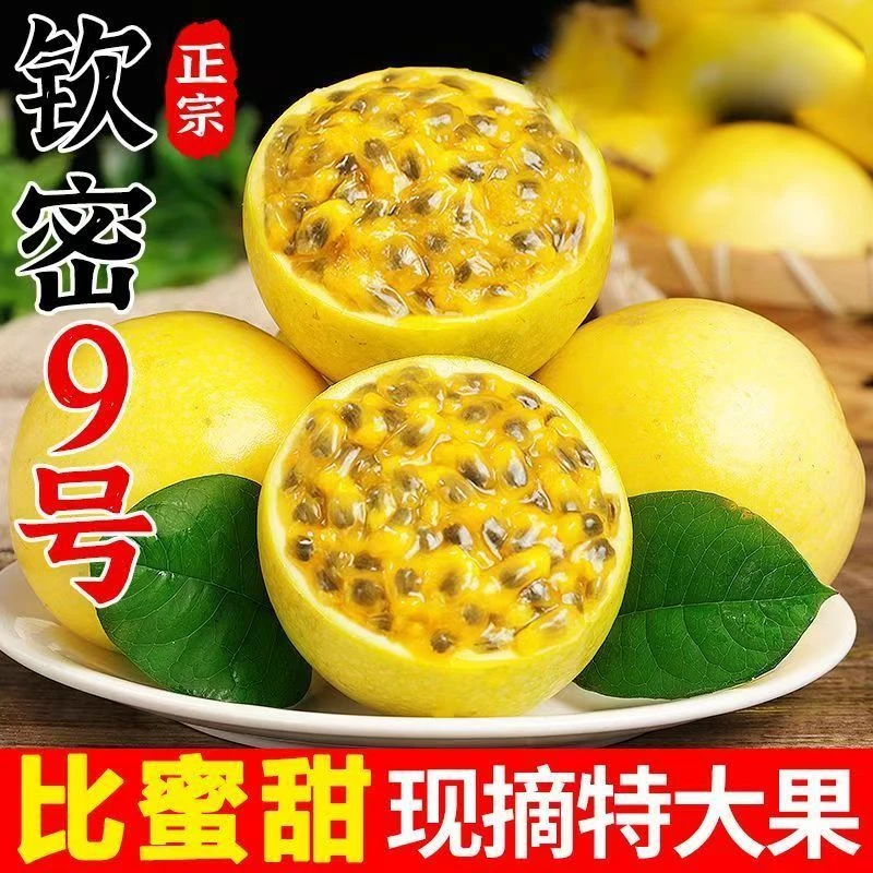 广西钦蜜9号黄金百香果新鲜现当季水果新鲜黄金百香果黄色百香果