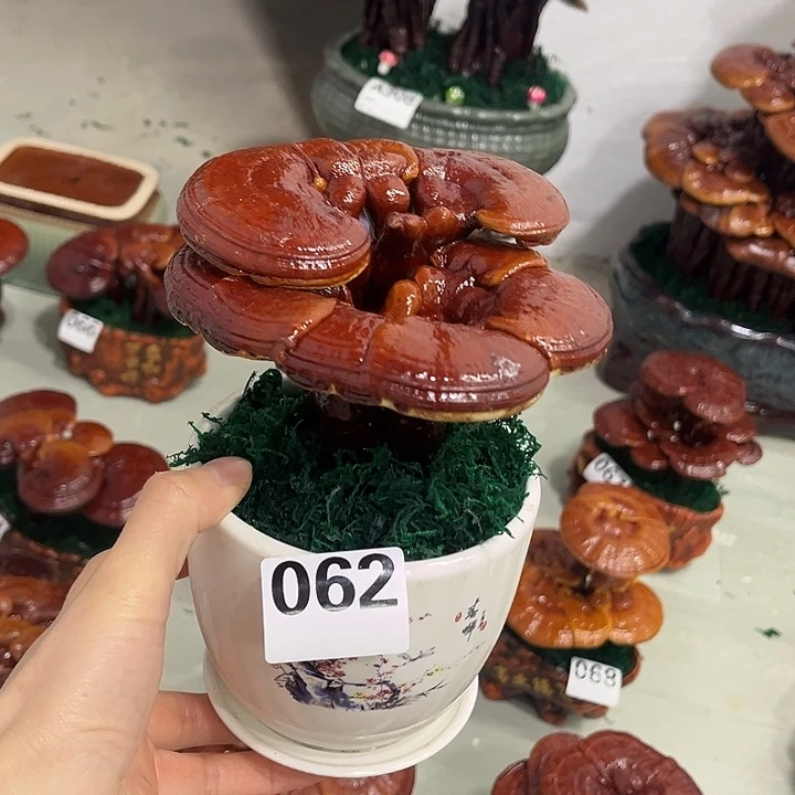 全部花朵8888888888888888888888