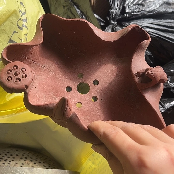 核桃木/黑胡桃（胡桃木）无*