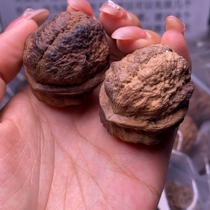 核桃云南野生铁核桃5号39mm
