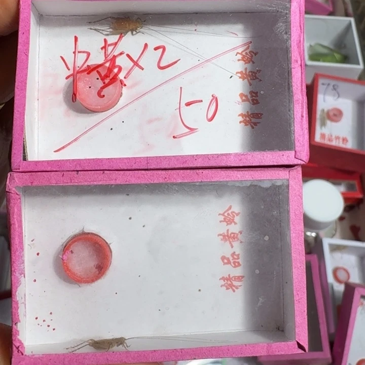 用***0蟋蟀蝈蝈我在外面111111