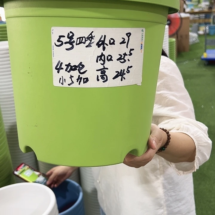 特价5号四季盆口29高24混色无托5只