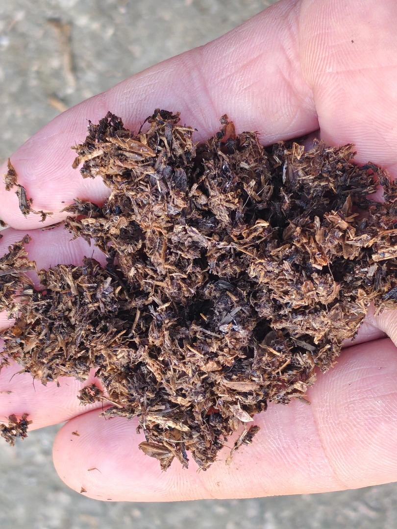 兰花，花草，多肉植物，绿植，营养土，腐叶土