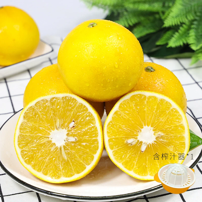 【狄麦】福建黄金葡萄柚 4.5斤 单果400g-700g+榨汁器*1个