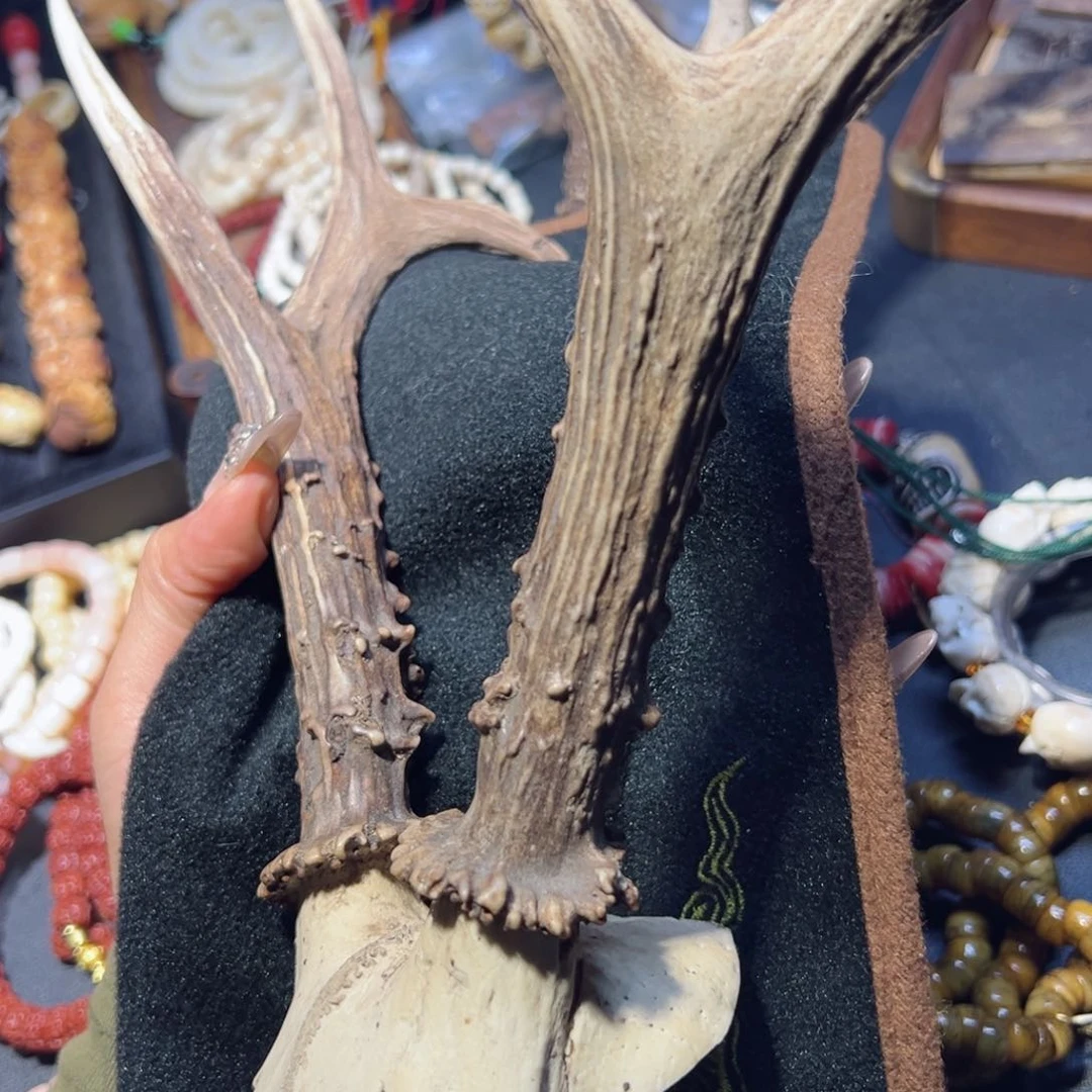 鹿骨把件守*鹿骨鹿角