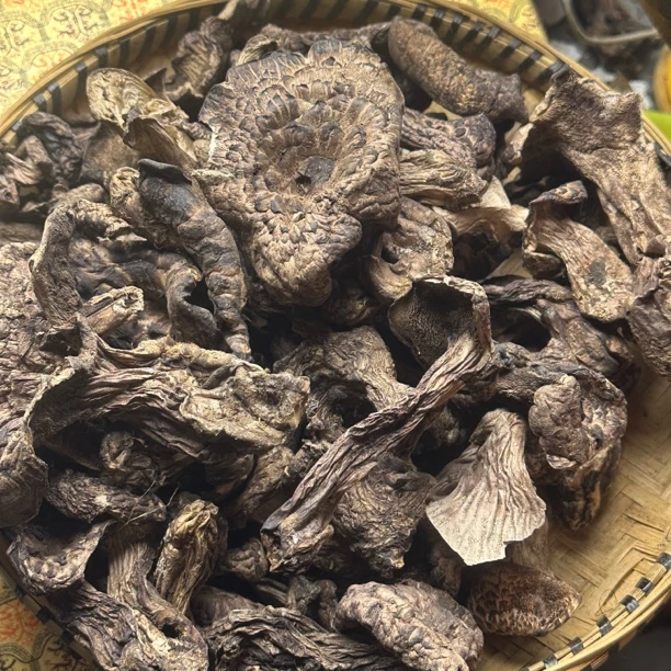 虎掌菌西藏高原山货