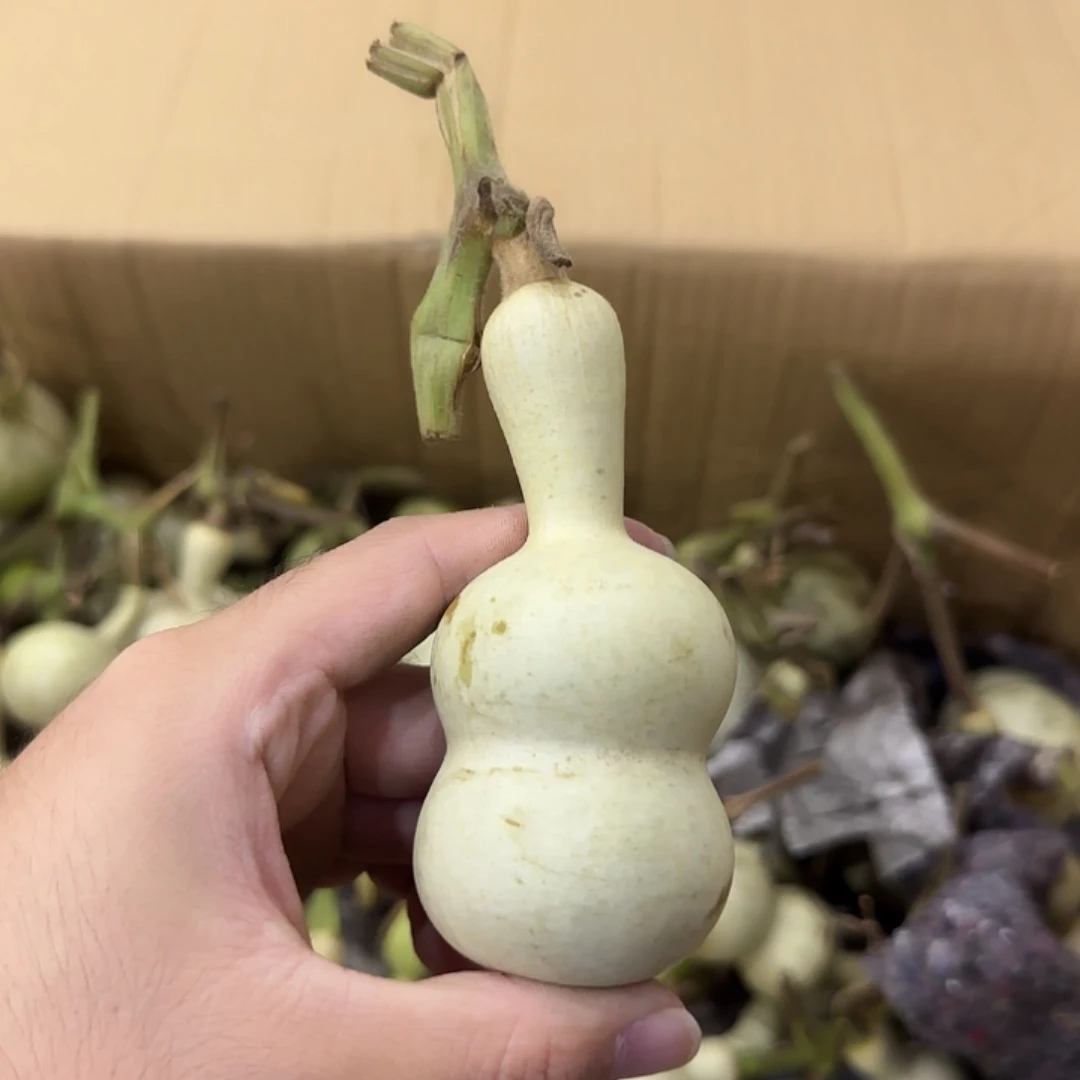 东***5葫芦sjdjdjdnsndndnsnsn