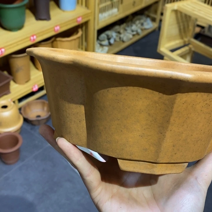 紫砂花盆清****随绿绿绿绿