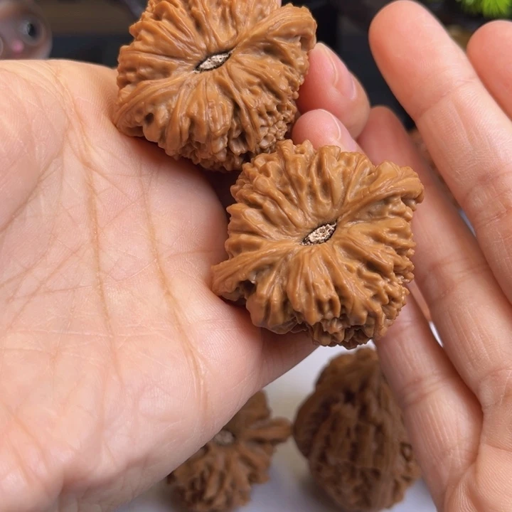 木质类文玩核桃三角疆44