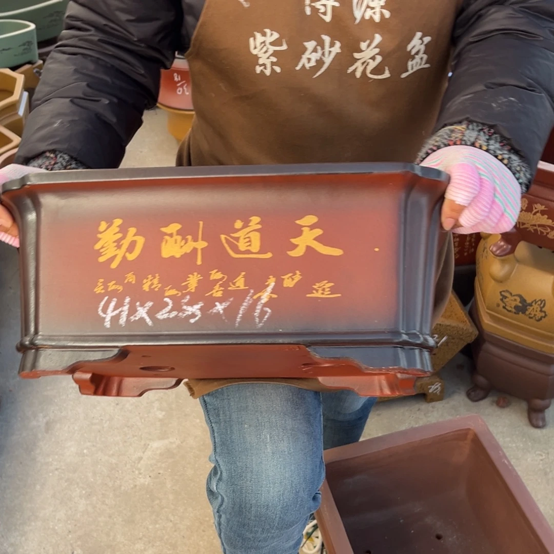 花盆紫砂盆景艺术