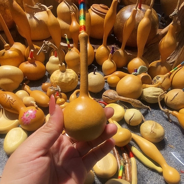 L****葫芦花为一大品种或半