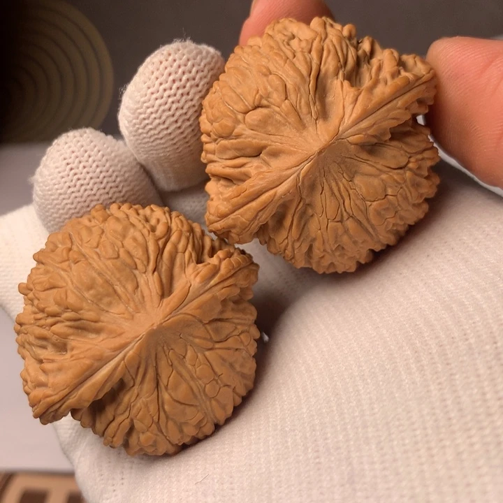 一***剑泥鳅6个各三只和五