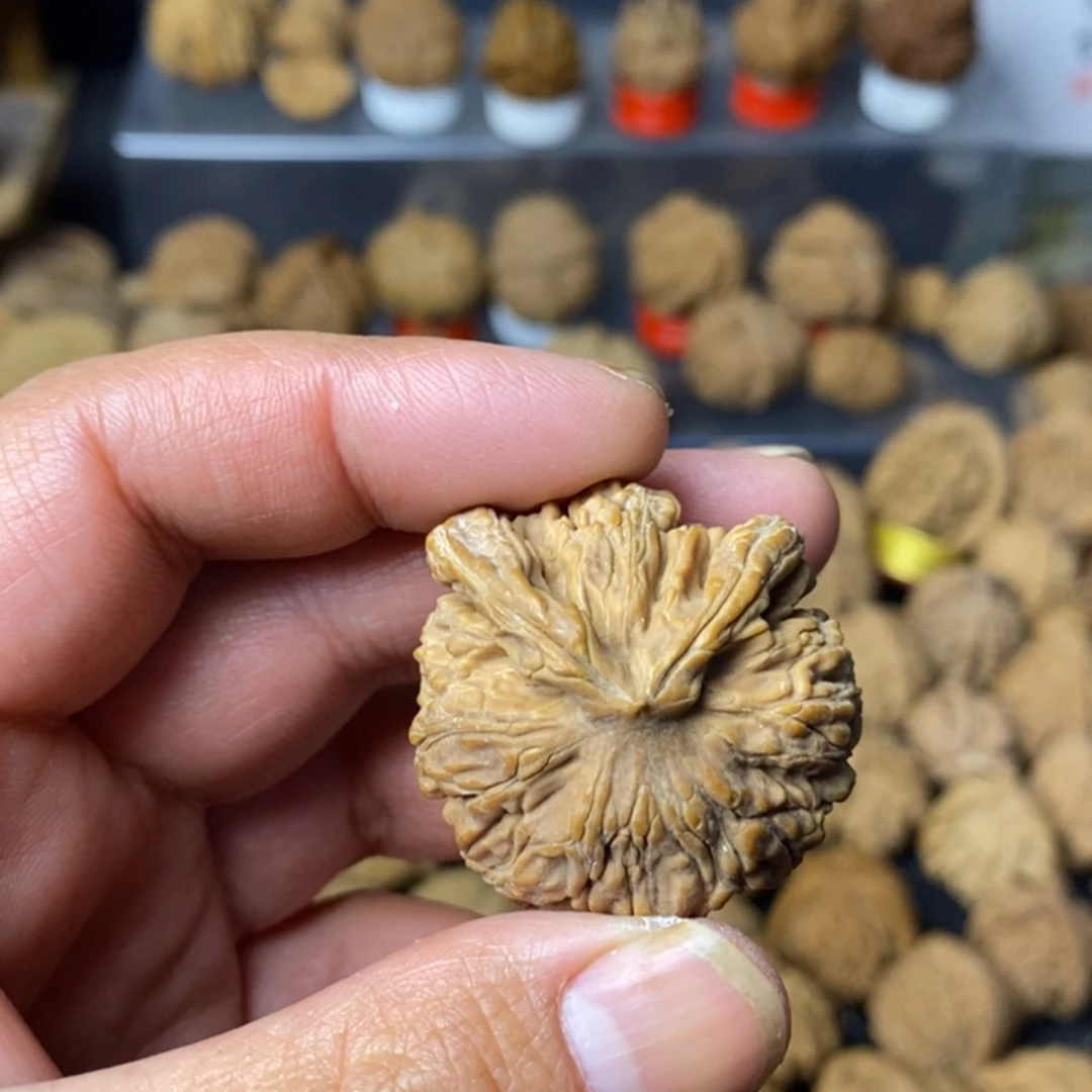 问***林大叶紫檀（黑酸枝木类）