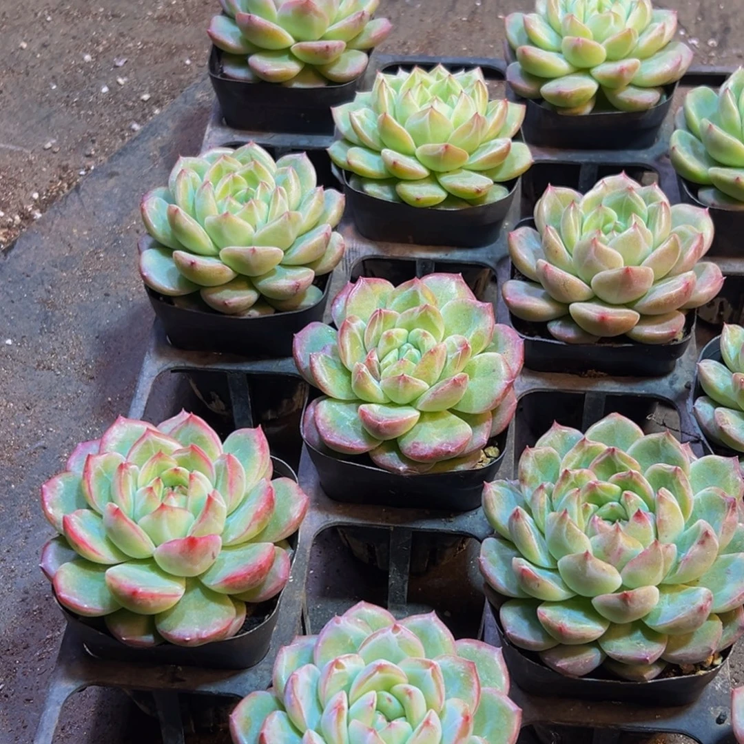 122点点滴滴的点点滴滴