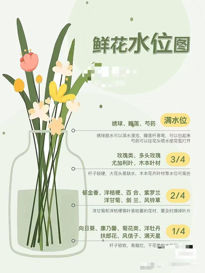（曼）欢乐颂15支➕5支防损鲜花任意满两单包邮