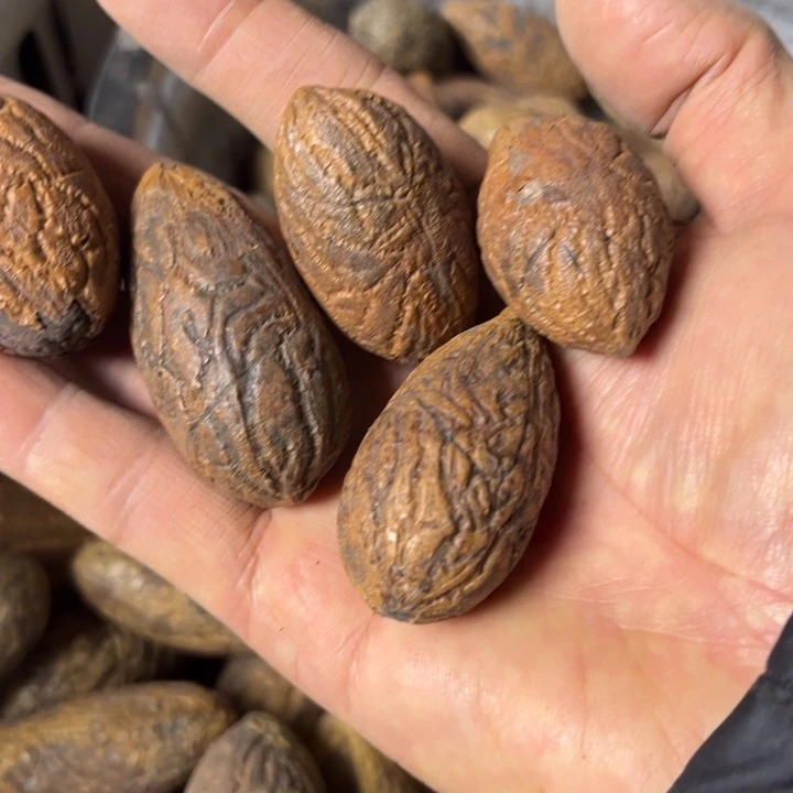 千眼菩提吊坠千眼菩提第74