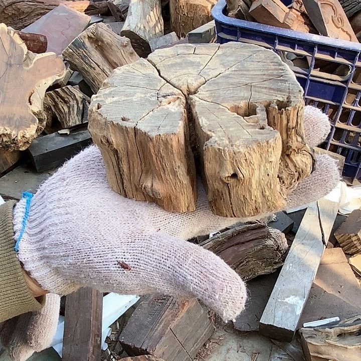 木559 毛料毛料毛料毛料