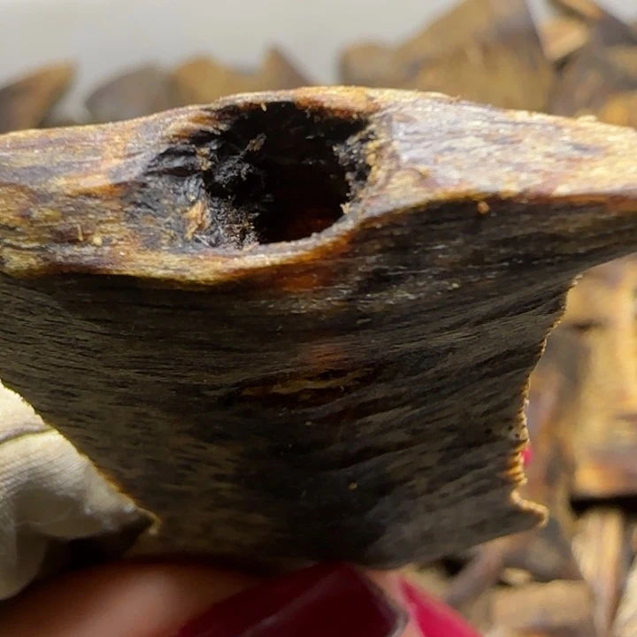 失***心沉香沉香碎屑海南陆河50克