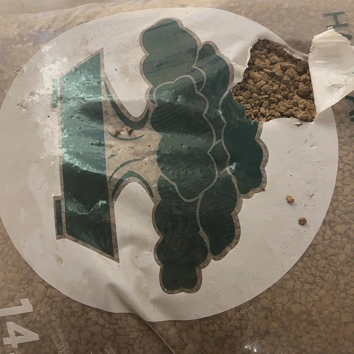 余***钱正宗超硬3本线3-6一包