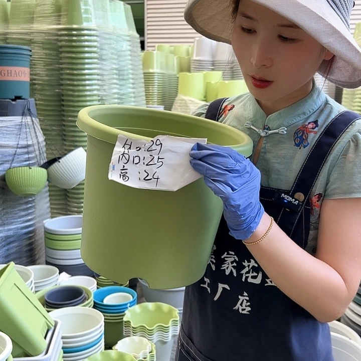 四季盆5#果绿色6个无托