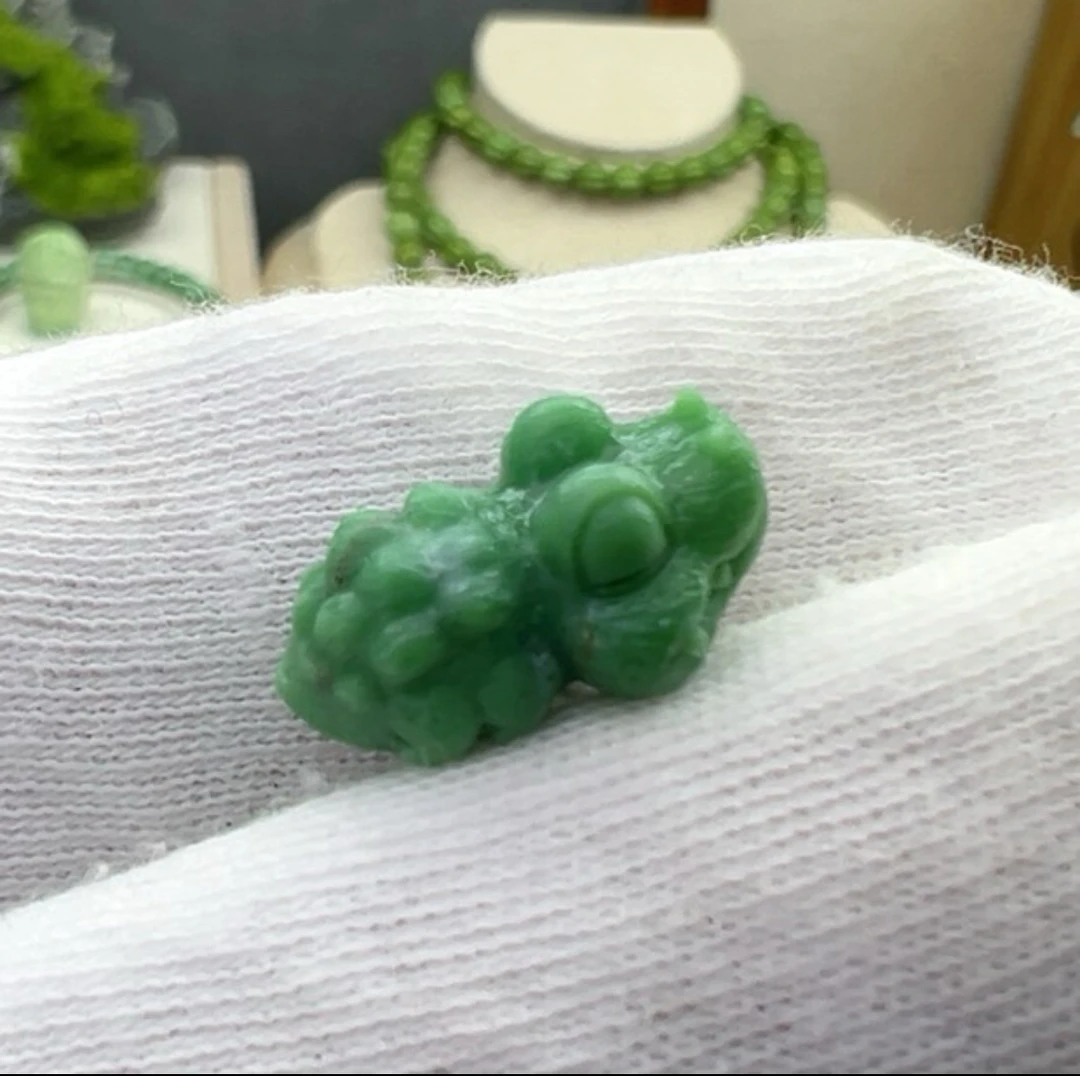 菜籽黄精品商业鳄鱼