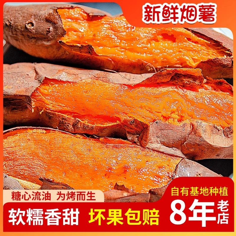 烟台沙地新鲜现挖糖心蜜薯烟薯25号软糯香甜烤烤薯店地瓜板栗红薯