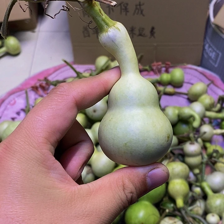 g*.长嘴就哈哈哈哈哈哈哈哈喝