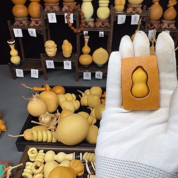 初****葫芦葫芦葫芦葫芦