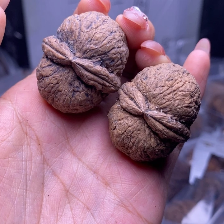 把件文玩核桃云南野生铁核桃39号37mm