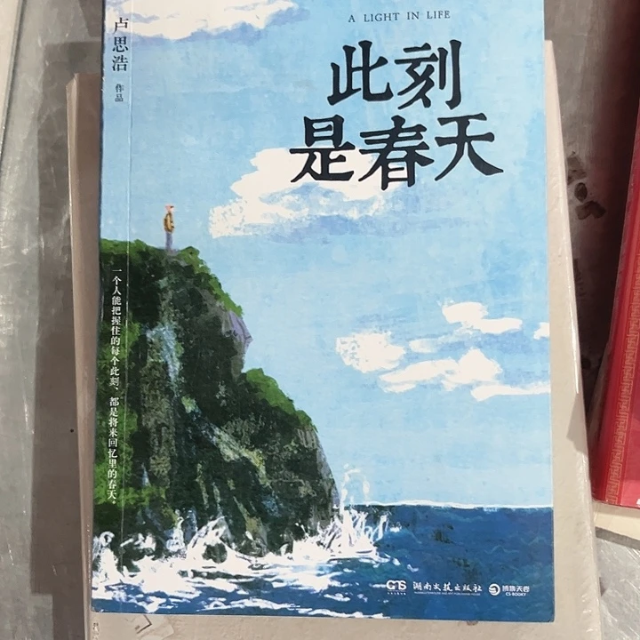 此刻是春天新书推荐