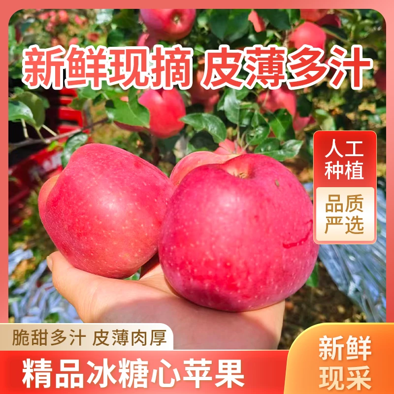 正宗精品云南昭通红富士糖心一级丑苹果脆甜多汁现采现发人生