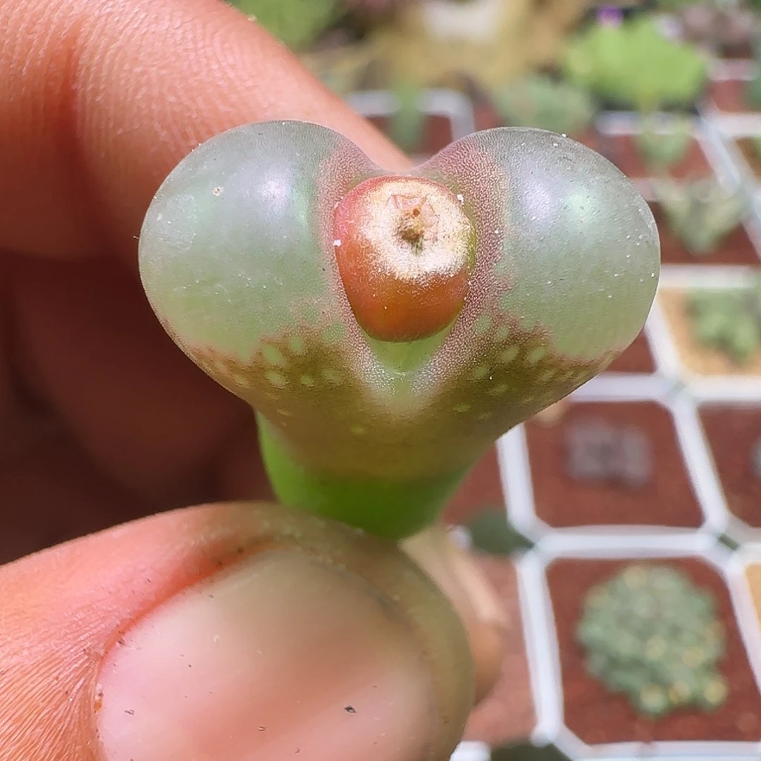 哈哈哈哈哈哈哈哈973