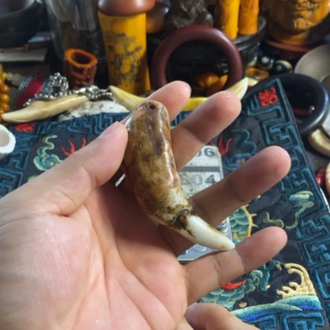 瓷片Y*C寻呼台的人也太少见啦
