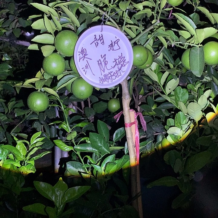 广***隆235689644322346896