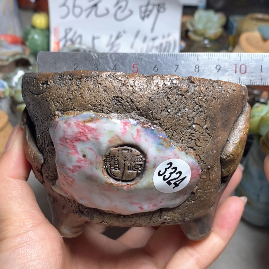 拍5送一个小礼物