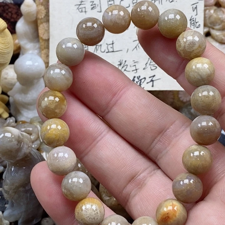颈饰未镶嵌硅化珊瑚（珊瑚玉）如**华