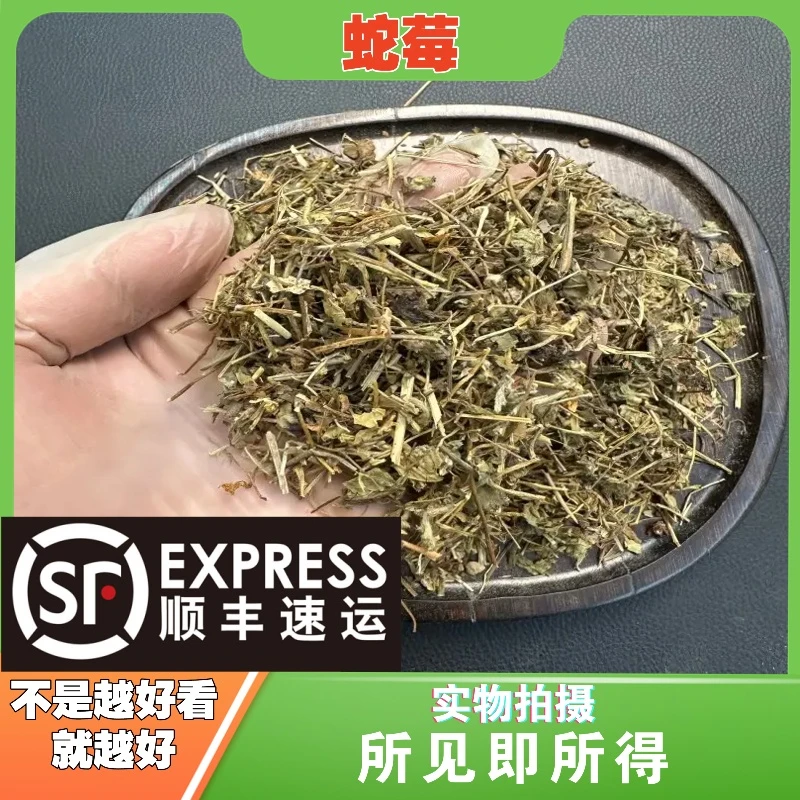 蛇莓成都中药材批发别名：地锦、蛇泡草、龙吐珠、三爪凤