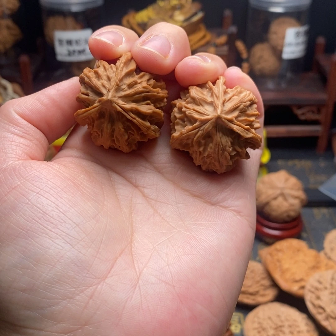 核桃手串/手链傲龙36