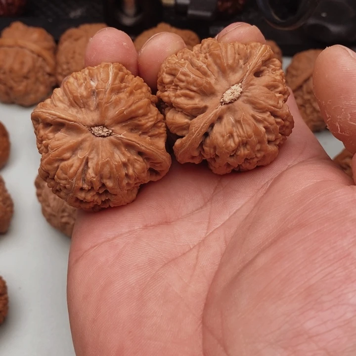 文玩核桃把件K*11111111111