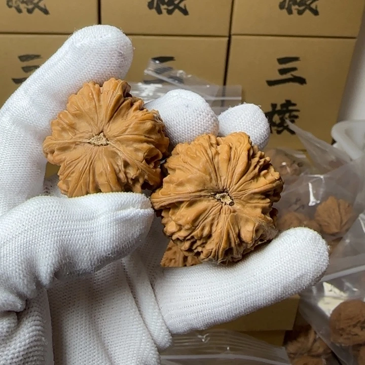 文玩核桃吊坠?*40玉龙三棱