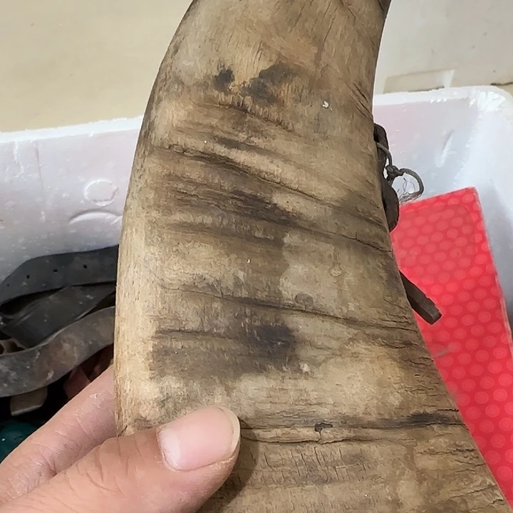 沈***松扇子吃v还不宝贝宝贝宝贝