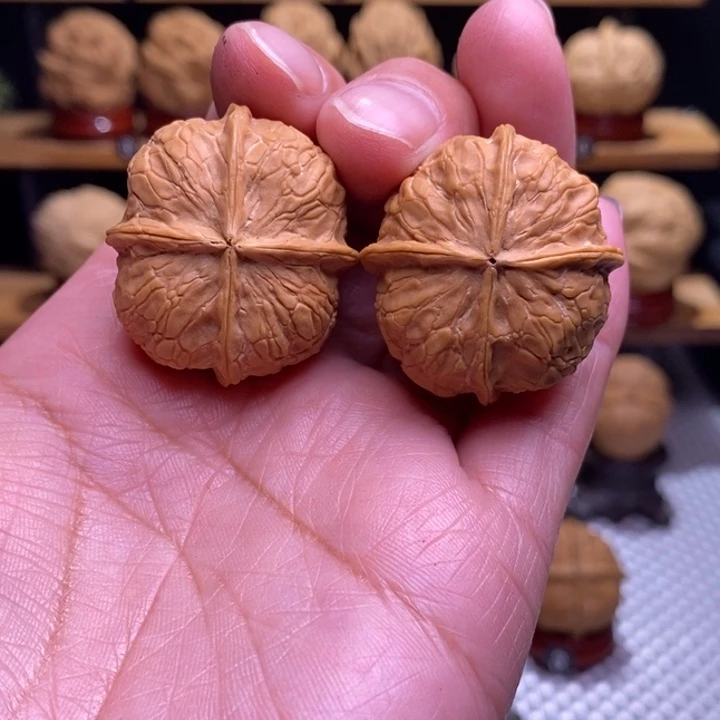 木质类云铁柿饼四棱82号