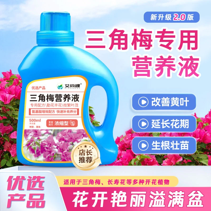 三角梅营养液浓缩专用肥开花植物营养液园艺花肥促花促生长500ml