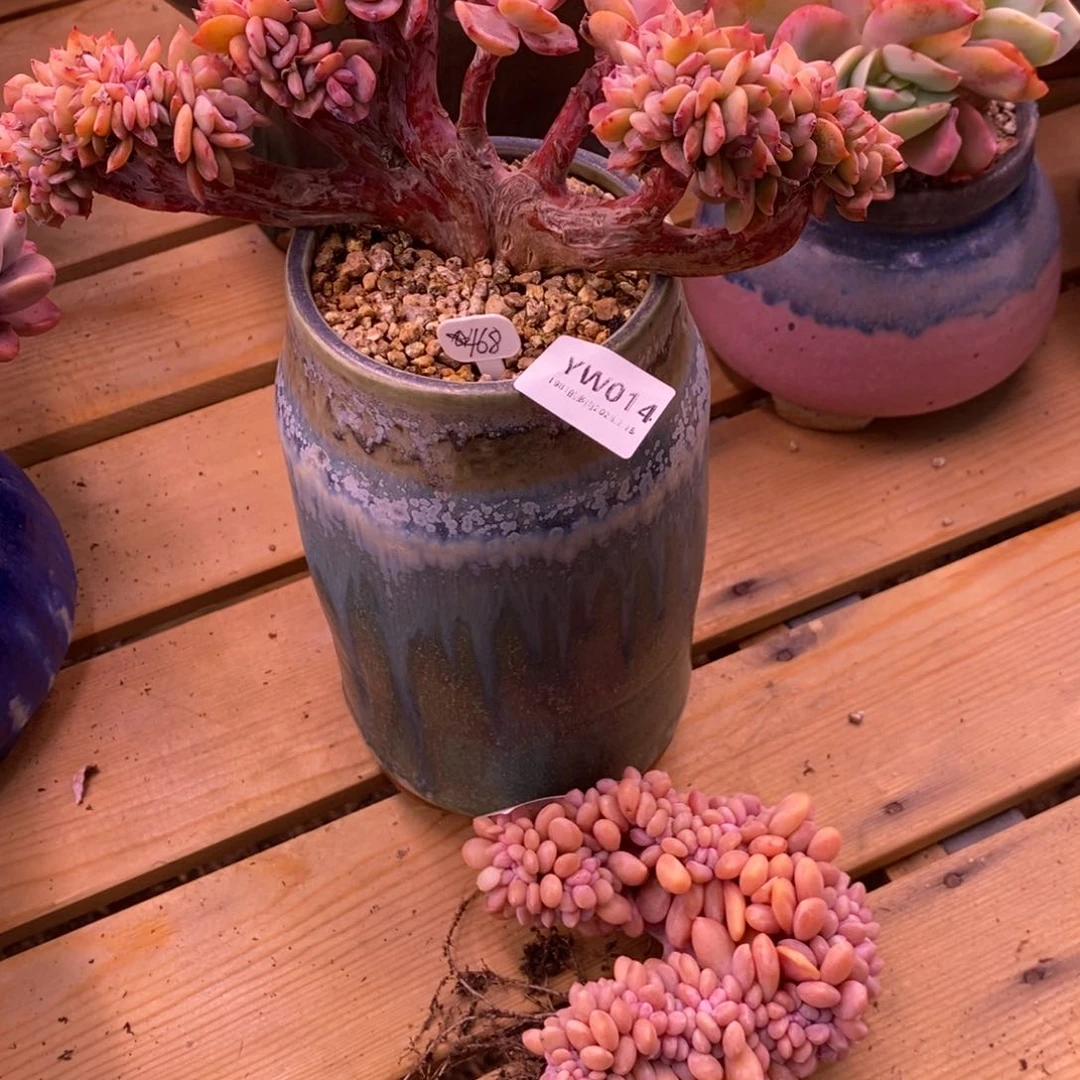 粗砂花盆s****）YW014盆盆盆盆